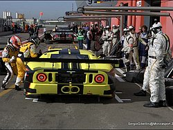 110410_fiagt_zolder_grid_and_warmup_ 035.jpg
