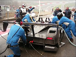 2005_spa_lmes_43.JPG