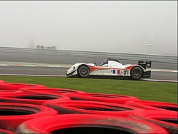 2005_spa_lmes_62.JPG
