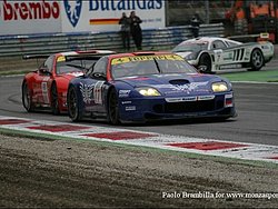 2005_monza_fia_gt_champ_ 020.jpg