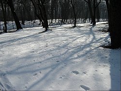 2005_monza_inverno_ 006.jpg