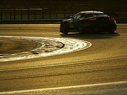 080302_sg_paul_ricard_lms-321.JPG