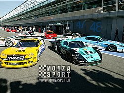 08031314pb_monza_fiagt_009.jpg