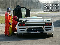 08031314pb_monza_fiagt_029.jpg