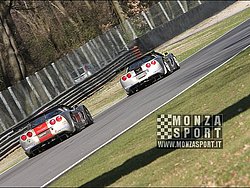 08031314pb_monza_fiagt_046.jpg