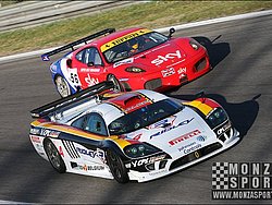 08031314pb_monza_fiagt_048.jpg