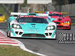08031314pb_monza_fiagt_066.jpg