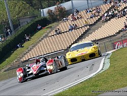 080406_sg_barcellona_lms-146.JPG