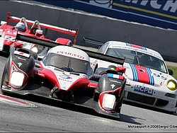 080406_sg_barcellona_lms-155.JPG