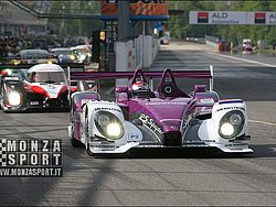 080427pb_monza_lms_004.jpg