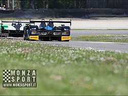 080427pb_monza_lms_023.jpg