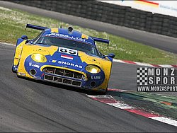080427pb_monza_lms_039.jpg