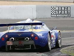 080817pb_nurburg_lms_099.jpg