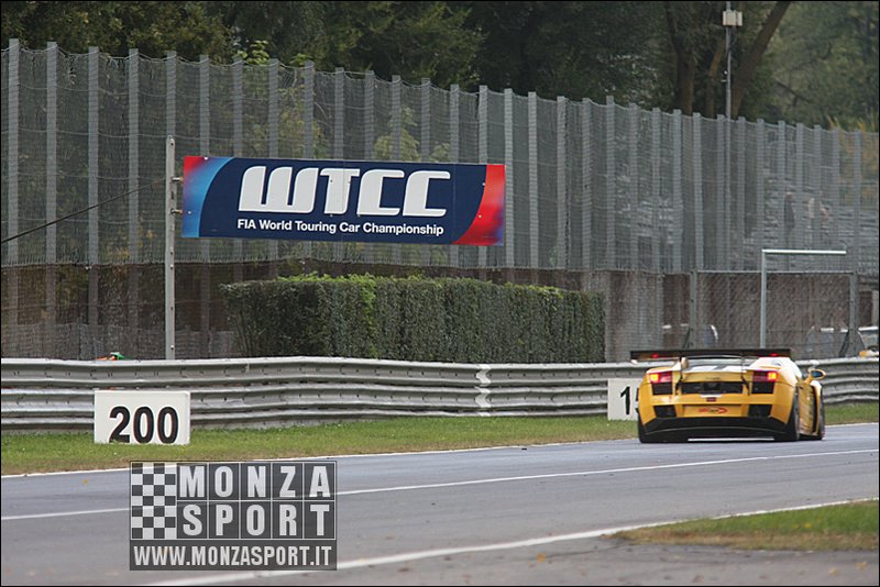 081003pb_monza_wtcc_024.jpg