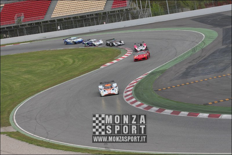 090404pb_bracellona_lms_005.jpg