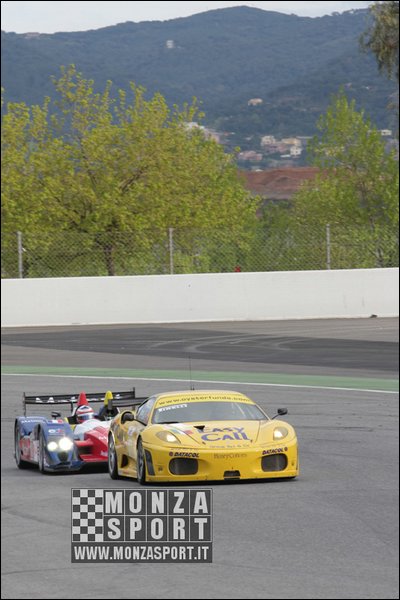 090404pb_bracellona_lms_010.jpg
