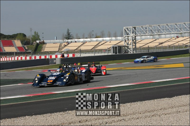 090404pb_bracellona_lms_017.jpg