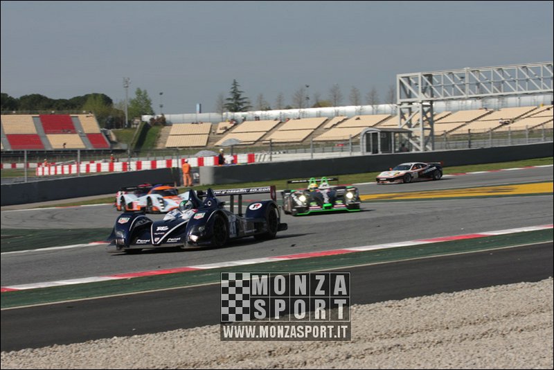 090404pb_bracellona_lms_019.jpg