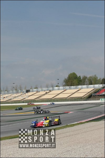 090404pb_bracellona_lms_022.jpg