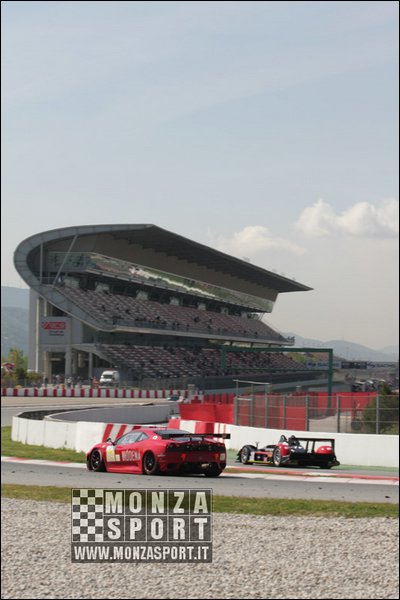 090404pb_bracellona_lms_023.jpg