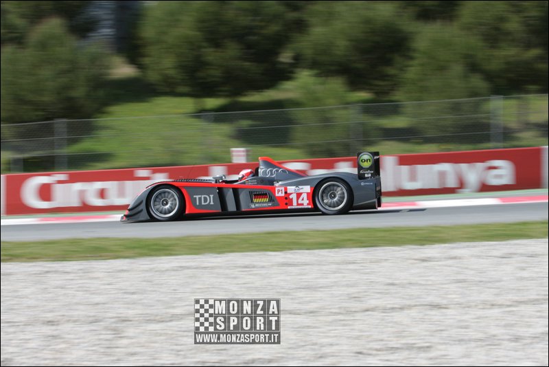 090404pb_bracellona_lms_024.jpg