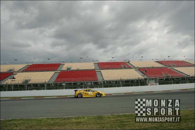 090404pb_bracellona_lms_047.jpg