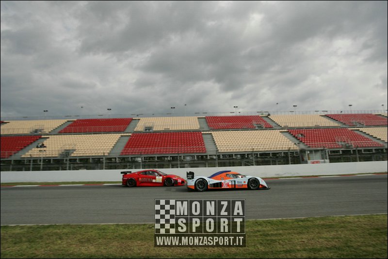 090404pb_bracellona_lms_048.jpg