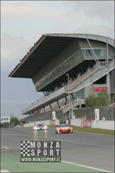 090404pb_bracellona_lms_049.jpg