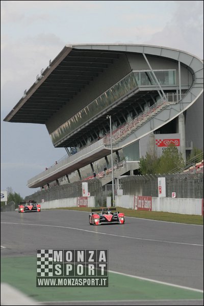090404pb_bracellona_lms_051.jpg