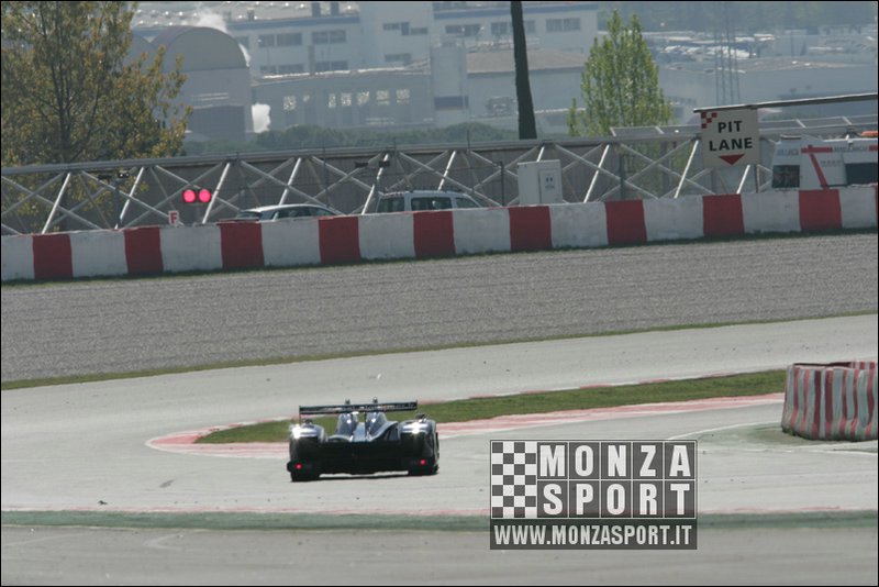 090404pb_bracellona_lms_079.jpg