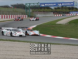 090404pb_bracellona_lms_003.jpg