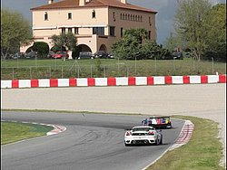090404pb_bracellona_lms_007.jpg
