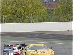 090404pb_bracellona_lms_010.jpg