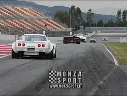 090404pb_bracellona_lms_015.jpg