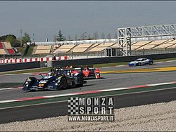 090404pb_bracellona_lms_017.jpg