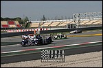 090404pb_bracellona_lms_019.jpg