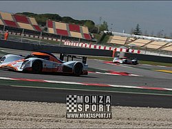 090404pb_bracellona_lms_020.jpg