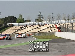 090404pb_bracellona_lms_021.jpg