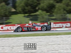 090404pb_bracellona_lms_024.jpg
