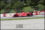 090404pb_bracellona_lms_025.jpg