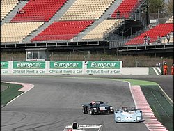 090404pb_bracellona_lms_030.jpg