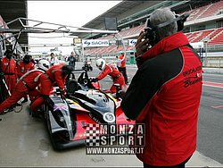 090404pb_bracellona_lms_039.jpg