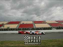 090404pb_bracellona_lms_048.jpg