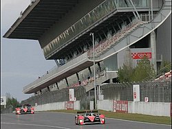 090404pb_bracellona_lms_051.jpg
