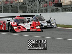 090404pb_bracellona_lms_053.jpg