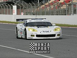 090404pb_bracellona_lms_055.jpg
