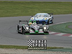 090404pb_bracellona_lms_057.jpg