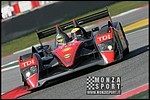 090404pb_bracellona_lms_067.jpg