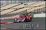 090404pb_bracellona_lms_071.jpg