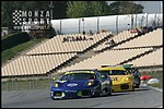 090404pb_bracellona_lms_074.jpg